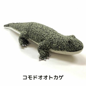 动物/鱼玩偶/毛绒玩具 龙