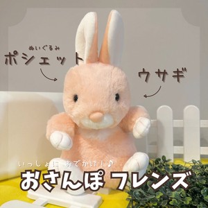 おさんぽフレンズ　ウサギ