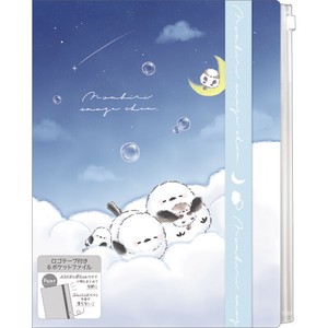 File Plastic Sleeve