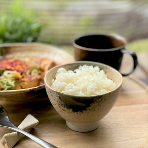 日本製　窯元直送　石目型茶碗・大サイズ