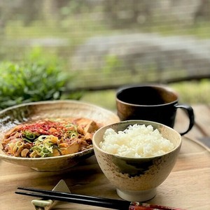 Rice Bowl Made in Japan