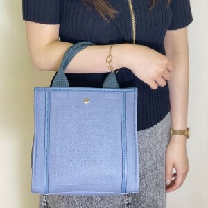 Handbag Ladies fashion Mini-tote Square