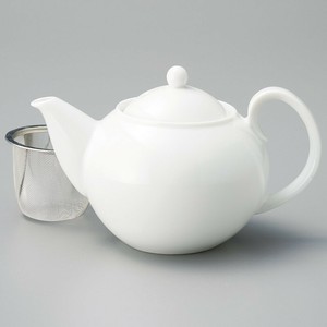 Mino ware Teapot Pottery Made in Japan