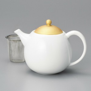 Mino ware Teapot Pottery Made in Japan