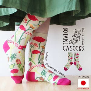 Crew Socks Flower Socks Botanica flower [2025 NEW] Made in Japan