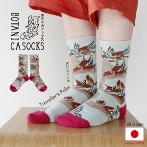Crew Socks Socks Botanica [2025 NEW] Made in Japan