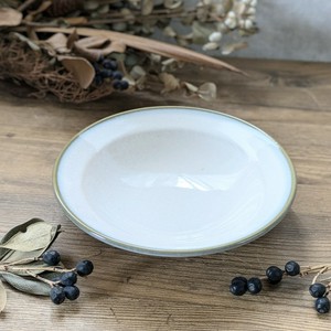 Mino ware Main Dish Bowl Made in Japan