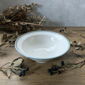 Mino ware Main Dish Bowl Made in Japan