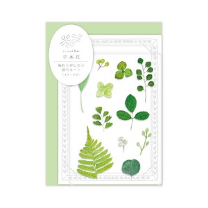 Greeting Card Green Made in Japan