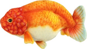 【HANSA製品】ランチュウ 23　動物　ぬいぐるみ　リアル　アニマル