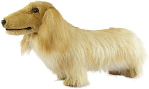 【HANSA製品】ミニチュアダックスフンド ロングヘア イエロー 62　動物　ぬいぐるみ　リアル　アニマル