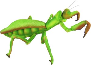 【HANSA製品】カマキリ 43　動物　ぬいぐるみ　リアル　アニマル