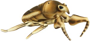 【HANSA製品】タガメ 42　動物　ぬいぐるみ　リアル　アニマル