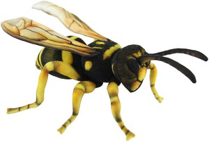 【HANSA製品】スズメバチ 35　動物　ぬいぐるみ　リアル　アニマル