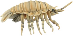 【HANSA製品】ダイオウグソクムシ 37　動物　ぬいぐるみ　リアル　アニマル