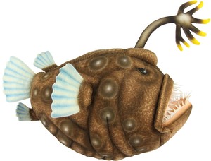 【HANSA製品】チョウチンアンコウ 40　動物　ぬいぐるみ　リアル　アニマル