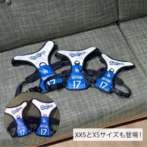 猫狗用品