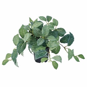Artificial Plant Green