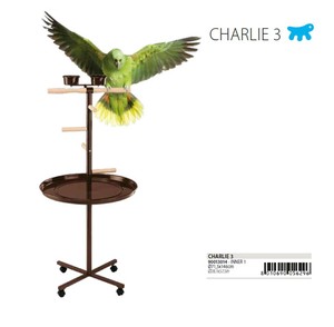 Bird Pet Item
