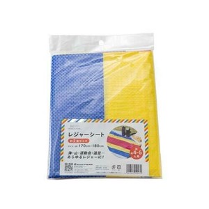 游泳/水上运动用品