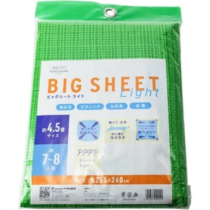 游泳/水上运动用品