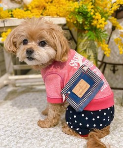 NBETTERデイズPO（犬服）
