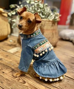 チロリアンデニムJK（犬服）