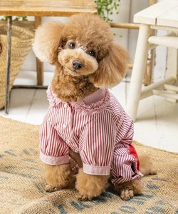 ロンドンストライプJS（犬服）