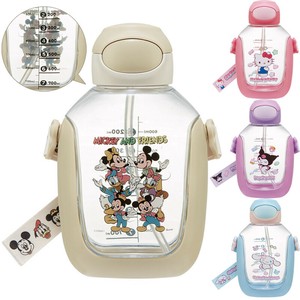 ワンプッシュストローボトル 530ml PDSH8DX サンリオ ディズニー