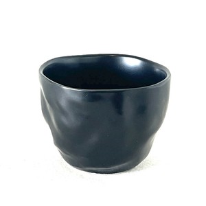 Japanese Teacup
