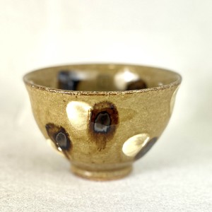 Donburi Bowl