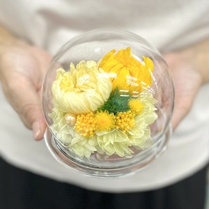 プラネットリンギクSプリザーブドフラワーお供えガラスドーム