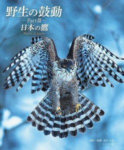 相机/摄影书籍