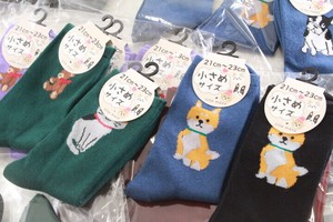 大特価！町のくつしたやさんのソックス　アニマルシリーズ（レディス）　こみこみ　240足セット！