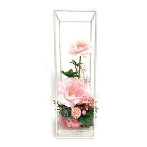 百花蘭舞