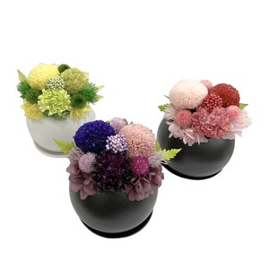 余苑プリザーブドフラワーお供え花材受け皿リンギク小菊