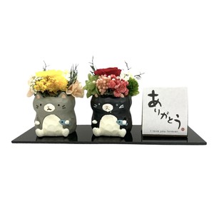 ペアーズお供えペットプリザーブドフラワ花材ありがとうアクリルボード専用BOX