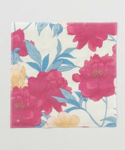 Dishcloth