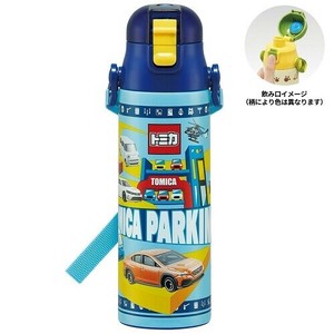 Water Bottle One-push Direct Skater 580mL