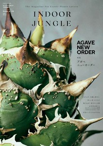 Magazine