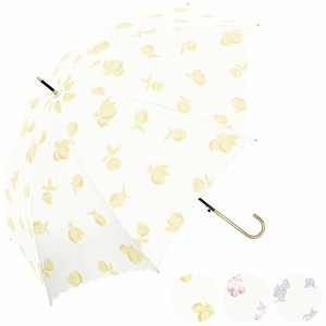 Umbrella