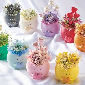 2025年新商品 花盆