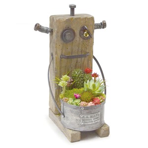 Pot/Planter Flower