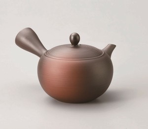 常滑烧 日式茶壶 茶壶 新商品 2025年