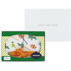 Babies Accessories Gift Set