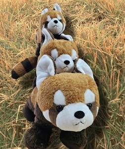 Animal/Fish Plushie/Doll Plushie Panda