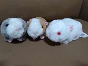 TO*NEW　モルモット　ヌイグルミ　全3種