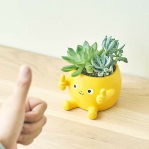 Pot/Planter Beige