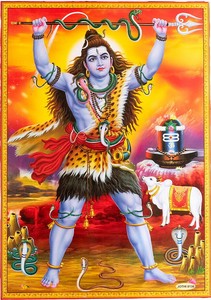 Poster 66cm