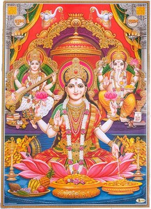 Poster 66cm